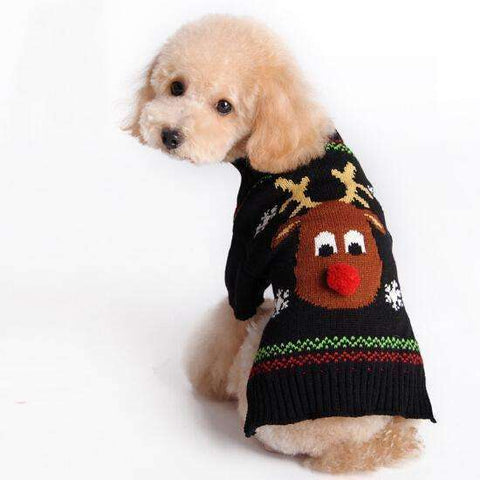 Pet dog sweater for autumn